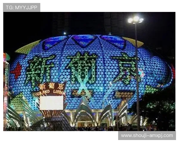 澳门新葡京娱乐官网入口官方入口，提供最安全稳定的登录体验保障