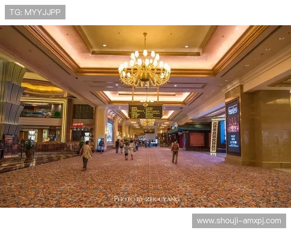 澳门新葡京官网app安全登录流程详解，保障您的账户信息安全