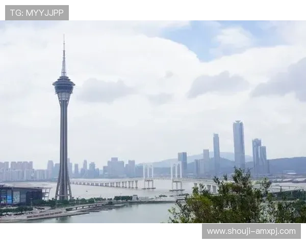 澳门新葡京正规网址的优势与特色全面解析让你了解为何选择官方平台 澳门新葡京正规网址的优势与特色全面解析让你了解为何选择官方平台