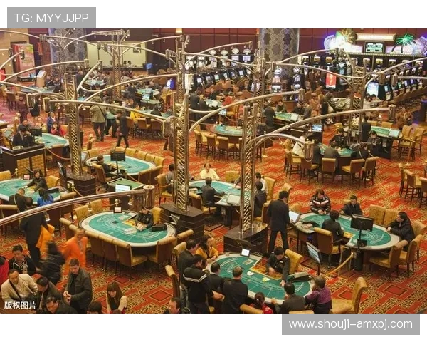 澳门新葡京网站多样化娱乐项目介绍与用户体验提升方案