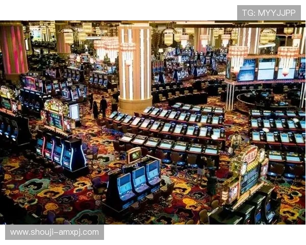 新葡京娱乐网提供安全可靠的在线博彩平台和多样化的娱乐游戏选择